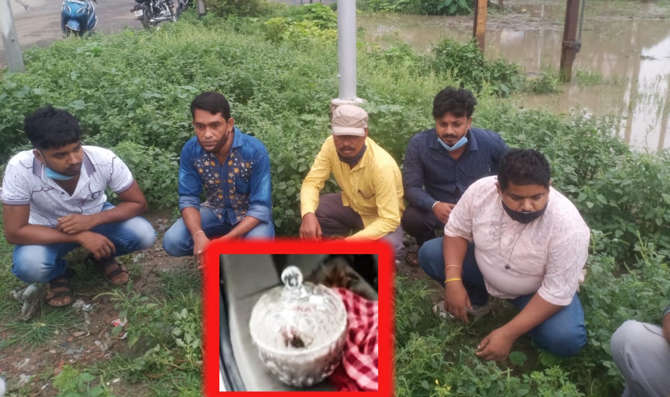 बंगाल में किंग कोबरा के जहर के साथ 5 गिरफ्तार, आर्मी इंटेलिजेंस ने कांचरापाड़ा में दबोचा
