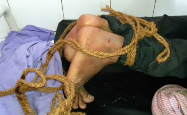 सैनिटाइजेशन के लिए बना नया उपकरण, डिब्बा बंद खाना, नोट किया जा सकेगा सैनिटाइज