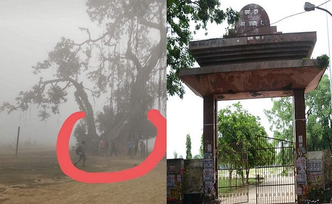 बिहार में 200 साल पुराने बरगद पेड़ को बचाने की उठी मांग, ब्रिटिश जज के साथ जुड़ी है ऐतिहासिक कहानी,