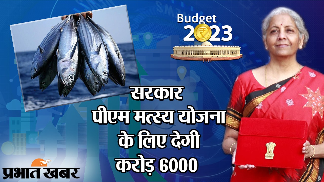 Budget 2023: सरकार पीएम मत्स्य योजना के लिए देगी 6000 करोड़,जानें बिहार में क्या है स्थिति और कैसे मिलेगा पैसा