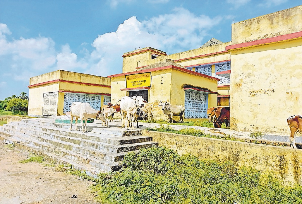 मवेशियों का चारागाह बना एक करोड़ की लागत से तैयार बिहार का पंचायत भवन, अराजक तत्वों का जमता है डेरा