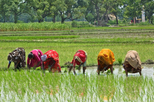 मन की बात में प्रधानमंत्री ने गुमला की आदिवासी महिलाओं की सराहना की