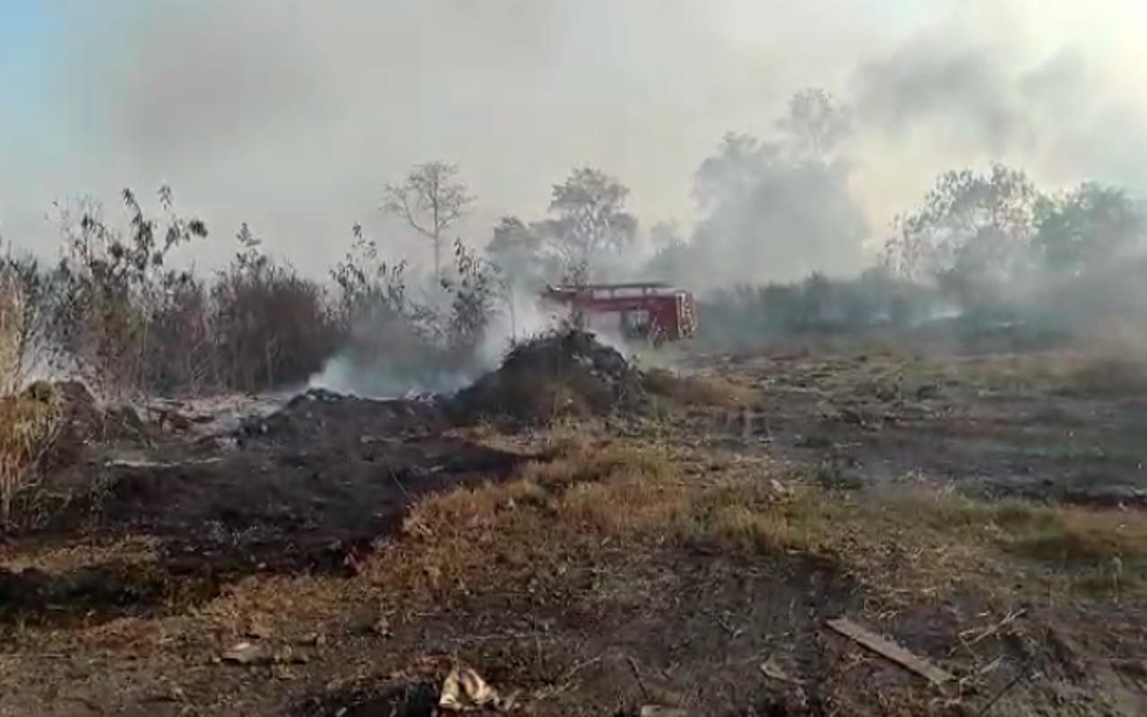 जलवायु जोखिमों से निपटने की तैयारी में जुटा भारत, बजट में ग्रीन ग्रोथ पर जोर समझदारी भरा कदम