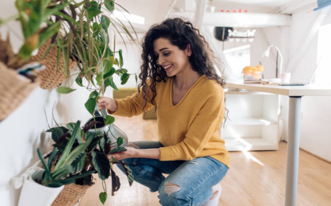 Vastu Plant For Home: घर में न रखें ये पौधे, परिवार में हो सकती है परेशानी..