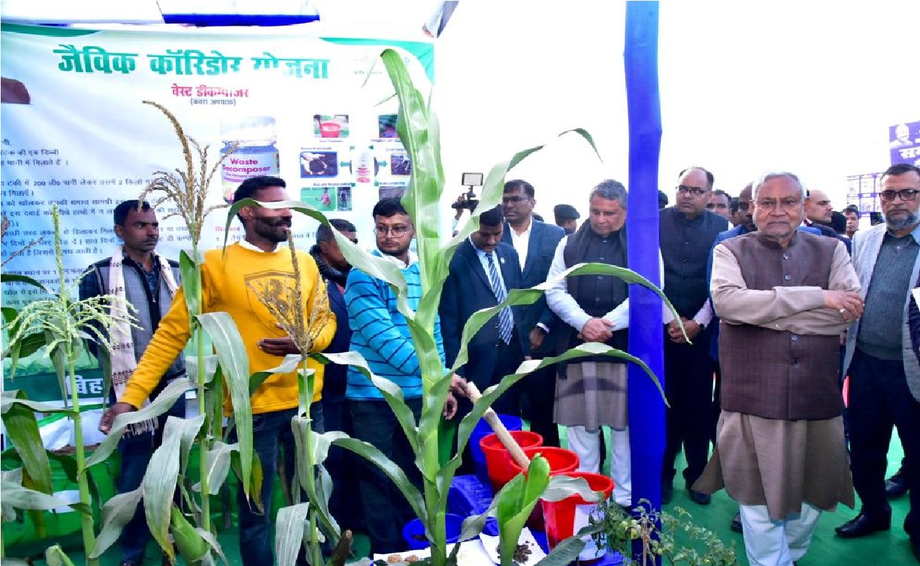 पटना के टाल क्षेत्र का और तेजी से होगा विकास, बिहार सरकार ने अलग से बनायी है योजना