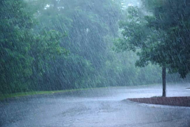 Weather Forecast: अगले दो दिनों में इन राज्यों में पहुंचेगा मानसून, दिल्ली को करना होगा अभी और इंतजार