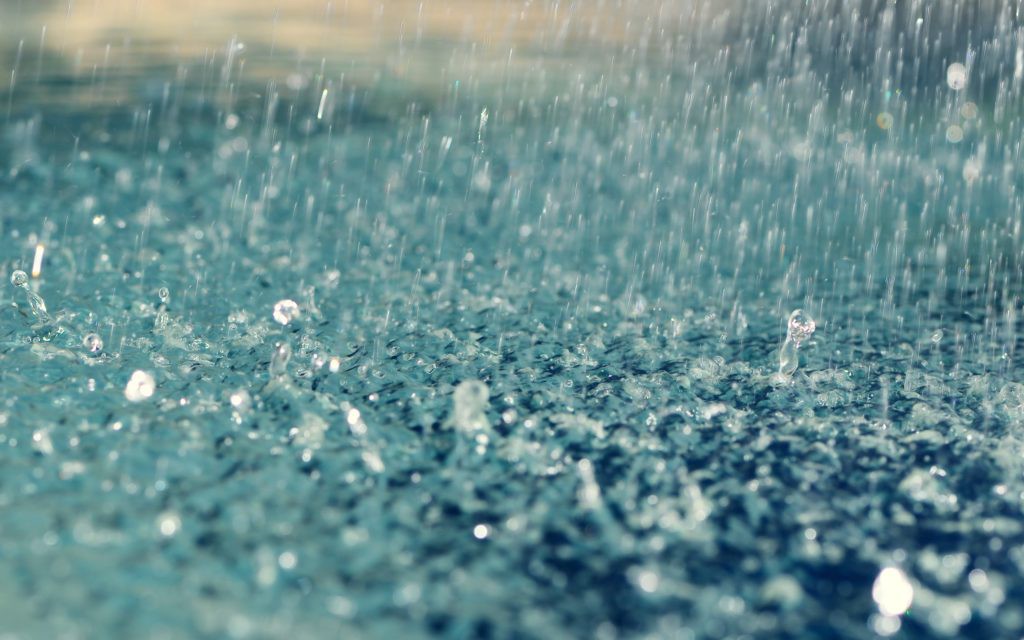 Weather Alert : केरल के कई हिस्सों में भारी बारिश, मानूसन की दस्तक, तिरुवनंतपुरम समेत चार जिलों में ऑरेंज अलर्ट जारी