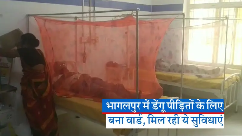 बिहार में मच्छरों का आतंक, भागलपुर में डेंगू के डंक से कई लोग अस्पताल में भर्ती
