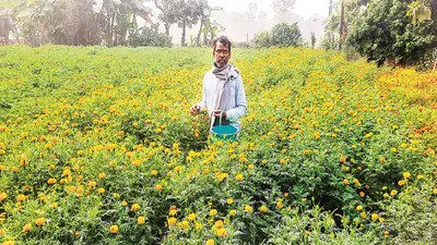 Bihar: हाजीपुर में मजदूरी करने वाले अब फूल की खेती से कमा रहे लाखों, जानें कैसे फैलाया व्यापार