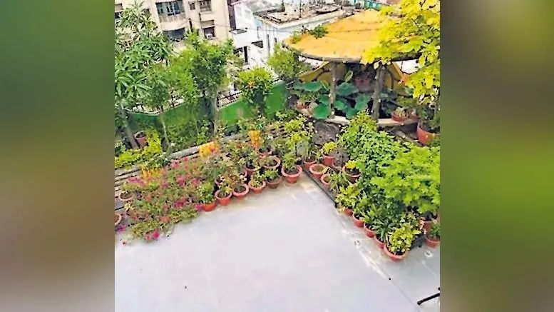 प्रभात खबर के 25 साल : एन्वायरनमेंट के साथ बढ़ी सेहत की फिक्र, पटना में गार्डनिंग के तौर-तरीकों में आये कई तरह के बदलाव