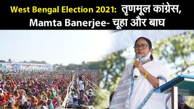 West Bengal Election 2021: तृणमूल कांग्रेस, Mamta Banerjee- चूहा और बाघ