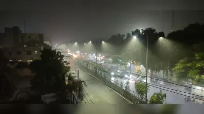 Odisha Weather: राउरकेला में सुबह से शाम तक हुई बारिश में पूरा शहर पानी-पानी, सेक्टर-7-17 के पास गिरे पेड़