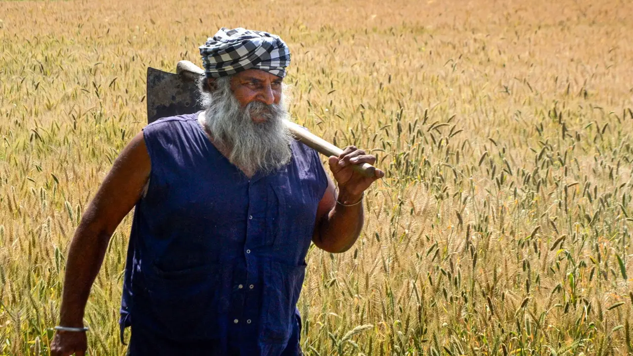 PM Kisan 15th Installment: अभी तक खाते में नहीं आया 15वीं किस्त का पैसा,जानें क्या है कारण और कैसे करें शिकायत