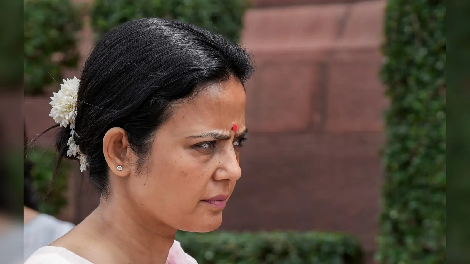 ‘मेरा पालतू कुत्ता वापस घर आ गया है’, महुआ मोइत्रा के पुराने दोस्त देहाद्राई ने कही ये बात