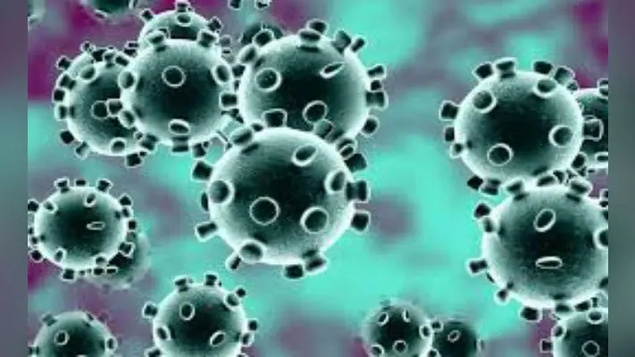 Coronavirus : इमारत शरिया का मस्जिदों को पैगाम, घरों में पढ़े नमाज, कोरोना और NPR की मुसीबत से बचने की करें दुआ