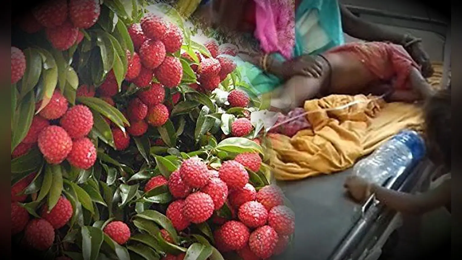 लो फिर आ गया लीची का मौसम, क्या इस बार भी चमकी बुखार से जाएगी सैकड़ों बच्चों की जान?