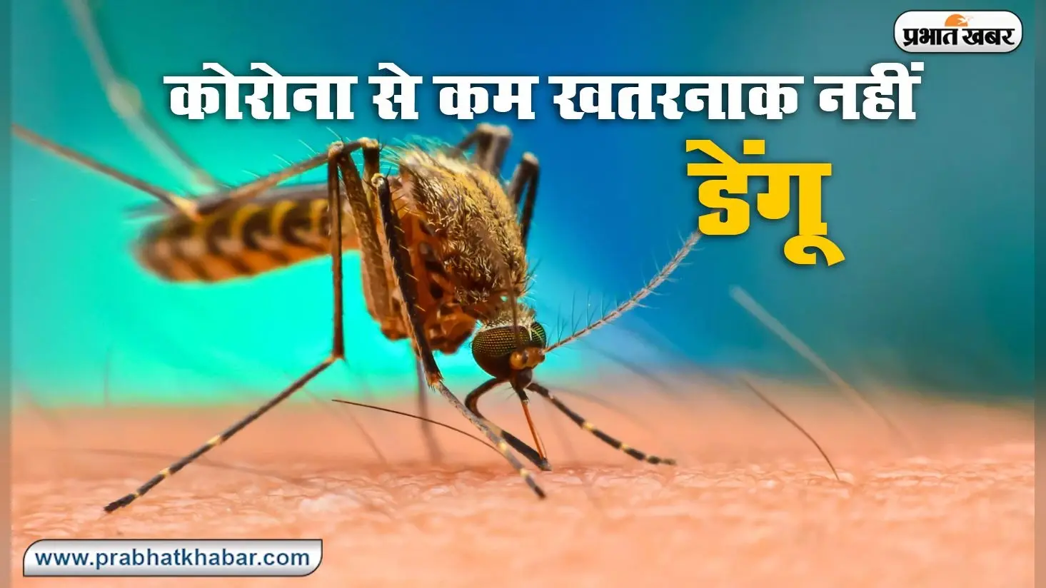 UP News: सीएम योगी ने पूर्व पीएम चंद्रशेखर की प्रतिमा का किया अनावरण, बोले- देश में बलिया को दी नई पहचान