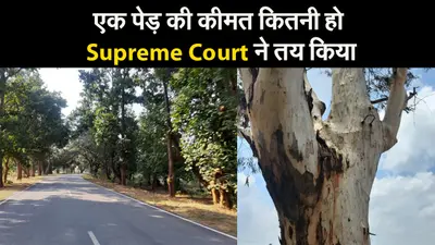 एक पेड़ की कीमत कितनी हो Supreme Court ने तय किया