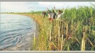 अस्ताचलगामी सूर्य को अर्घ्य देने घाटों पर उमड़ी भीड़, सीएम नीतीश समेत कई लोगों ने दिया आवास पर अर्घ्य