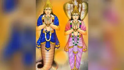 छह माह पहले बने सेंटर में पहली बार इलाज के लिए आया 18 किलो का निलसोनिया गंगेटिका कछुआ