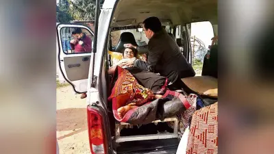 निलामी में इस कबूतर ने बनाया रिकार्ड, दाम सुनकर हो जाएंगे हैरान, जानिये इसकी खूबी
