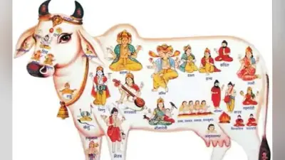 Gopashtami 2020: आज है गोपाष्टमी, इस विधि से शुभ मुहूर्त में करें गौ-माता की पूजा…