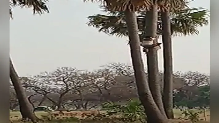 आज रात साल का आखिरी चंद्रग्रहण, जानिए ग्रहण के बाद क्या करें और कई महत्त्वपूर्ण बातें