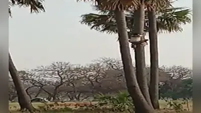 आज रात साल का आखिरी चंद्रग्रहण, जानिए ग्रहण के बाद क्या करें और कई महत्त्वपूर्ण बातें