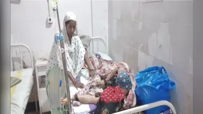 सीवान में बच्चों की स्वास्थ्य जांच करेगी डेडिकेटेड मोबाइल हेल्थ टीम, पत्र जारी कर दिया गया निर्देश