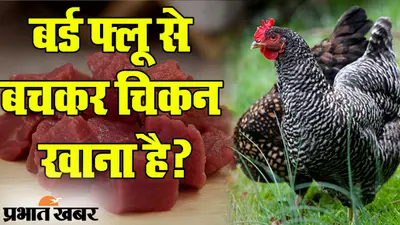 बर्ड फ्लू से बचकर चिकन खाना है? इस मीट को खाने से कोई खतरा नहीं, फायदा अलग से…