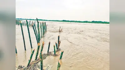 बाढ़ का कहर : बारिश और भपसा नदी का जलस्तर बढ़ने से कई इलाकों में फैला पानी