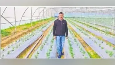 अब धान के कटोरे से छलकेगा ‘हरा सोना’, परंपरागत फसल से इतर नयी फसल की खेती से कमा रहे किसान