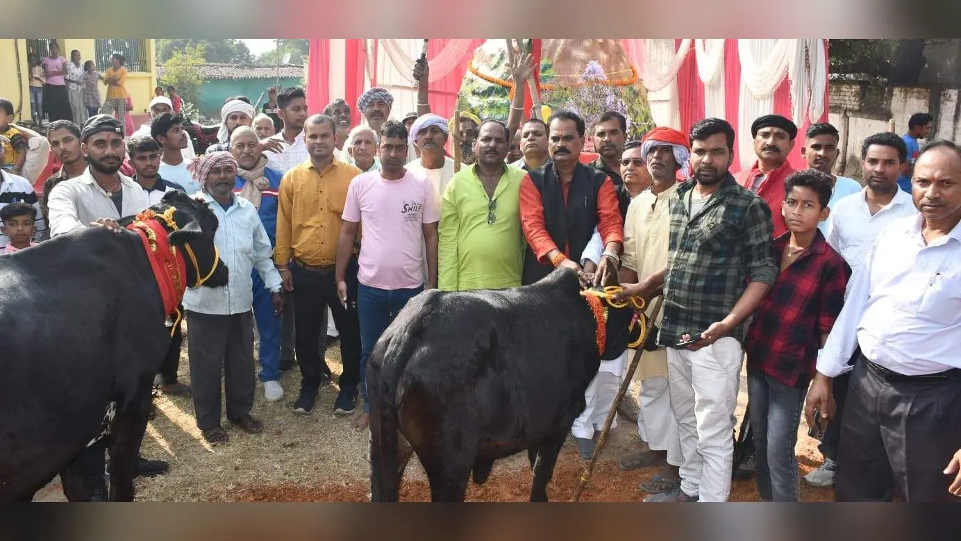 बोकारो : जिले में धूमधाम से मनी गोवर्धन पूजा, सुख-समृद्धि की कामना