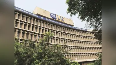 LIC News: LIC पॉलिसी की जानकारी मिलने में होती है परेशानी, इस तरीके से घर बैठे चेक करें अपना स्टेट्स