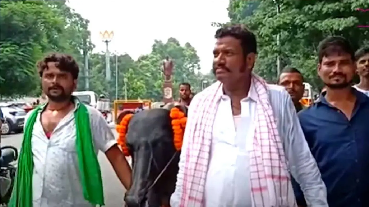 Bihar Politics: LTC घोटाले में RJD विधायक अनिल सहनी को दो साल की सजा, जानें क्या है पूरा मामला