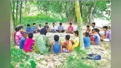 बिहार में पेड़-पौधे और चिड़ियों के बीच हो रही पढ़ाई, स्कूल ऑफ नेचर से जोड़ कर बच्चों को दी जा रही मुफ्त शिक्षा