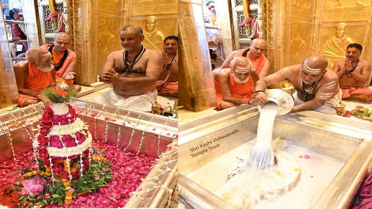 Shri Tulsi Chalisa: आज देवउठनी एकादशी पर जरूर पढ़ें श्री तुलसी चालीसा, इसके बिना यह पूजा मानी जाती है अधूरी…