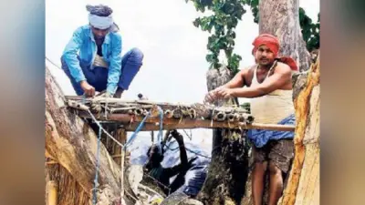 Bihar Flood: साल में 2 माह पेड़ों व मचानों पर कटती है इस गांव के लोगों की जिंदगी, एक शाम खाते हैं खाना