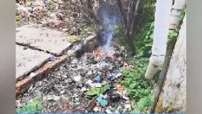 बिहार में जांच के लिए कलेक्ट किये गये RT-PCR के सैकड़ों सैंपलों को जलाया गया, स्वास्थ्य कर्मचारियों की बड़ी लापरवाही