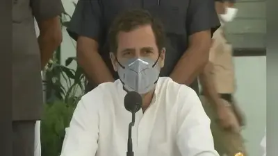 डिफेंस कमेटी की बैठक से राहुल गांधी ने किया वाॅकआउट, बाॅर्डर से जुड़े मुद्दों पर आयोजित थी मीटिंग