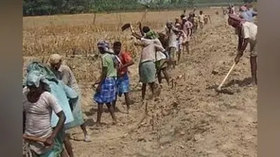 प्रवासियों को शहरों से कितना लाभ
