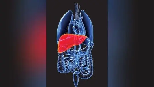 बिहार में आधुनिक तकनीक से लिवर कैंसर मरीज की बचाई गई जान, 55% लिवर काट 10 घंटे में किया
गया सफल ऑपरेशन…