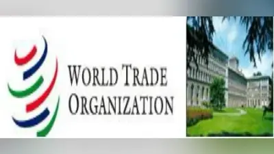 भारत ने WTO में चावल, गेहूं के निर्यात पर पाबंदी के फैसले का किया बचाव, यहां जानें पूरा मामला