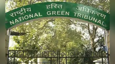 साहेबगंज में अवैध खनन से से पर्यावरण को हो रहा है नुकसान, NGT ने दिये सरकार को जांच के आदेश