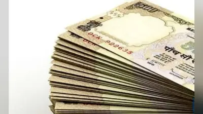 खेत में छुपाये पुराने नोट, बच्चों ने फाड़ा बोरा, फिर देखते ही देखते