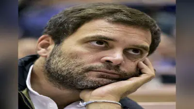 राहुल गांधी चुपचाप ताजपोशी की तैयारी में