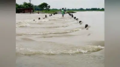 लोकायन नदी में छोड़ा गया 21.5 हजार क्यूसेक पानी, जलस्तर खतरे के निशान से तीन फुट ऊपर चढ़ा