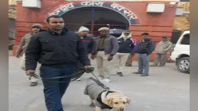 थावे से बक्सर सेंट्रल जेल भेजे गये जदयू विधायक के भाई, प्रशासन की रिपोर्ट पर जेल आइजी ने दिया आदेश