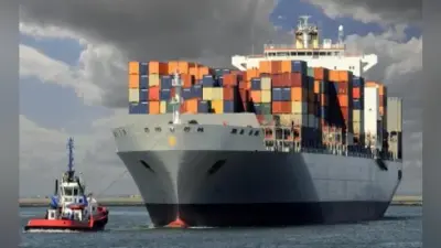 India Export: एक महीने में भारत का एग्रीकल्चर एक्सपोर्ट करीब 10 लाख टन घटा, जानें क्यों पड़ रहा असर