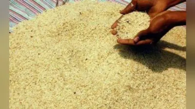 खाद्य सुरक्षा की चुनौतियां